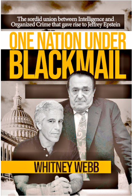 A photo of the book cover "One Nation Under Blackmail"