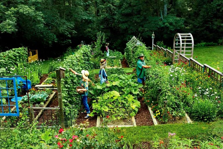 Food Forest Abundance with Jim Gale, Be Your Own Gardener, People working in the Garden, Medical Freedom and Natural Health