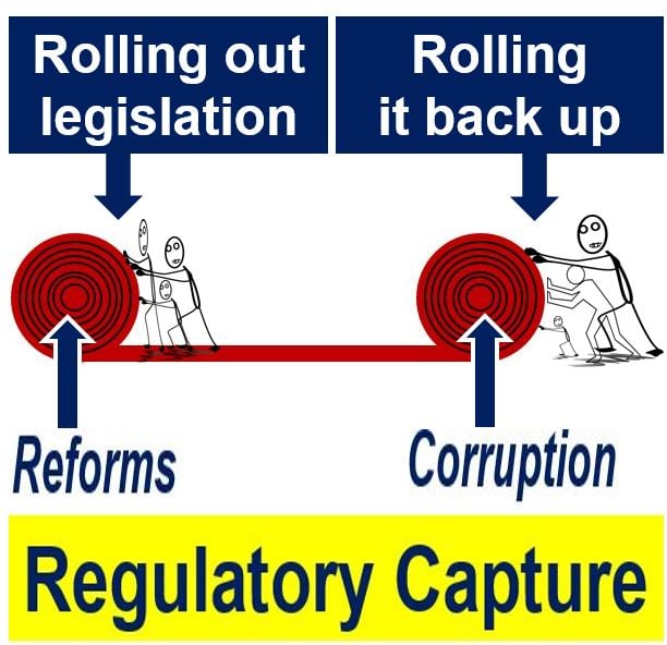 Regulatory capture is a form of rent-seeking - trying to get a larger slice of a market's total wealth without creating any additional wealth for that market. When regulatory capture exists, the interest of political groups or companies become more important than those of the public, which leads to a net loss to society.