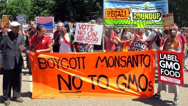 Monsanto-march 2